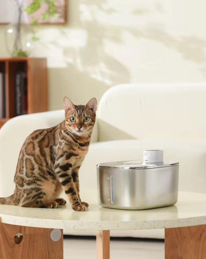 KittyDrop™ Wireless  Fountain 4L